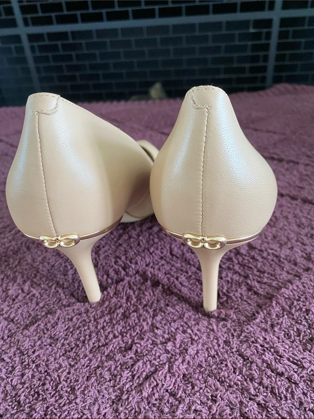 Coach Women's Pointed-Toe Pumps in Blush Nude